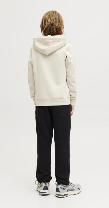 Produktbild Jack & Jones Kapuzenpullover Junior Kapuzenpullover (176)