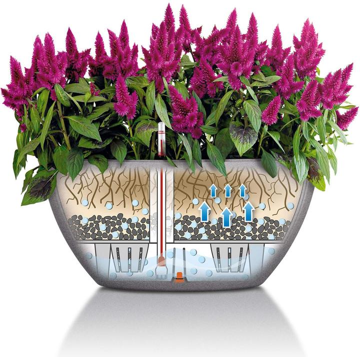 Actual product image Lechuza Cubeto Color (40 x 18.30 cm)