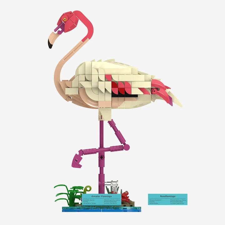 Image du produit BlueBrixx-Pro Rosaflamingo