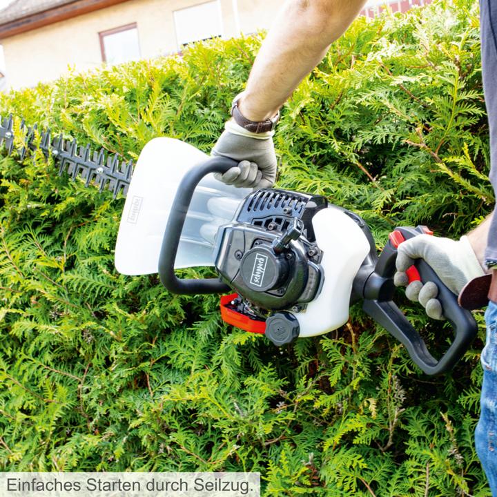 Actual product image Scheppach HTH250/240P Hedge Trimmer 1hp (Petrol)