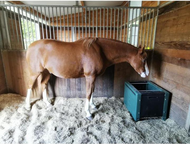 Produktbild Kerbl Futterraufe HayBox