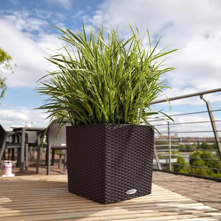 Produktbild Lechuza Cube Cottage (49 cm)