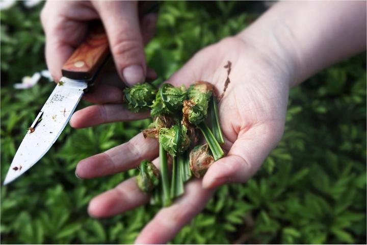 Produktbild Øyo Marka (8.50 cm)