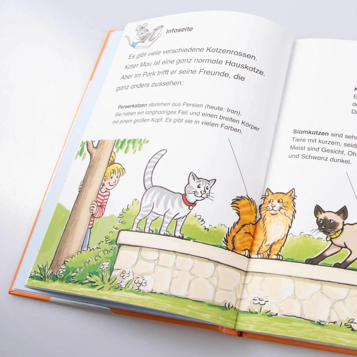Thumbnail - Conni-Geschichten zum Lesenlernen, Kinderbücher von Julia Boehme, Herdis Albrecht