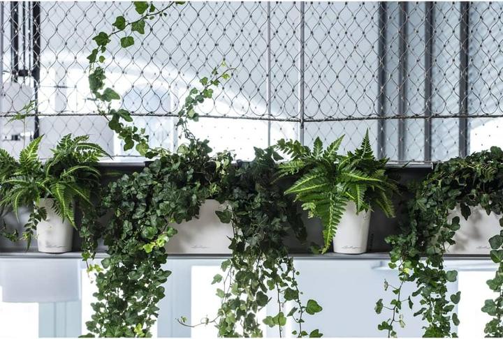 Produktbild Lechuza Deltini (15 cm)