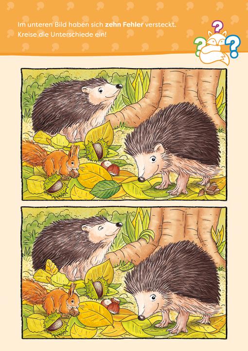 Produktbild Tessloff Wald-und-Wiesen-Rätselspass. Natur (Deutsch, Stefan Lohr, 2024)