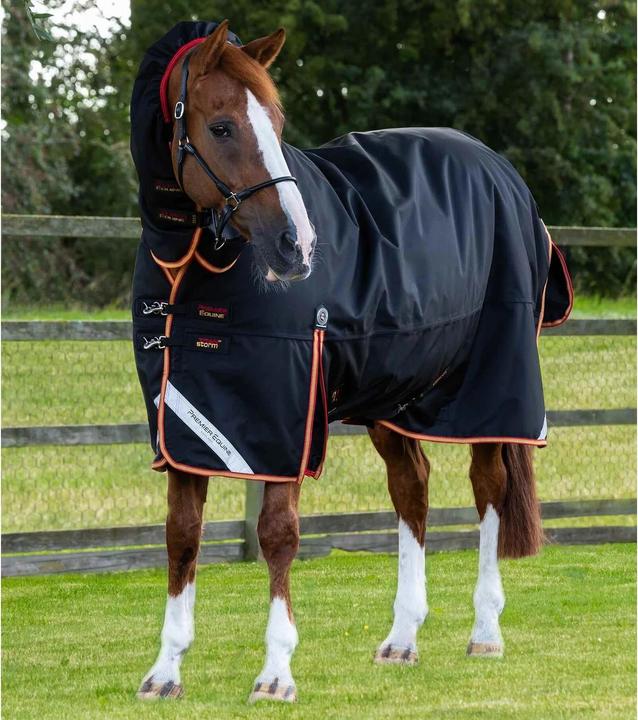 Premier Equine outdoor-decke mit halsteil titan storm 450 g (152 cm)