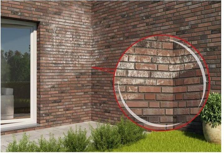 Actual product image Mellerud Cement and saltpetre remover