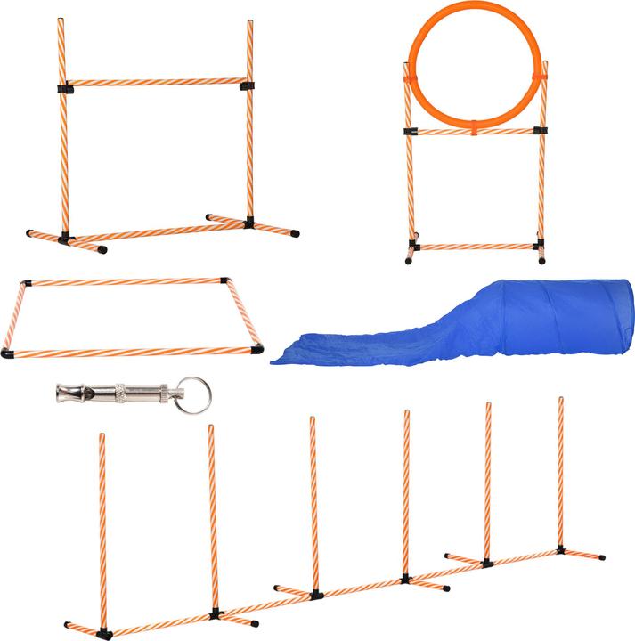 PawHut Set (Destrezza)
