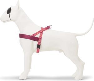 Actual product image MORSO Norwegian Hondentuig Gerecycled Pink Think Roze (Dog, Dog sport)