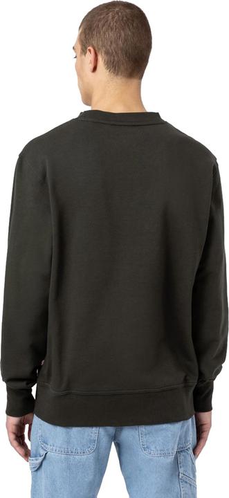 Produktbild Dickies Mount Vista Crew (L)