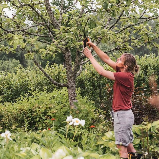 Produktbild Fiskars Gartenschere Amboss