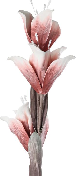 Produktbild EGLO LIVING Molave (85 cm)