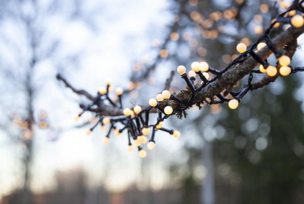 Actual product image Star Trading Berry Mini (19 m)