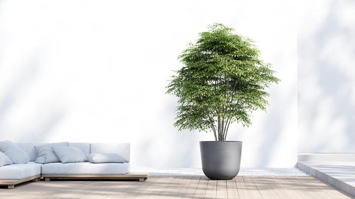 Image du produit Ecopots Oslo (75 cm)