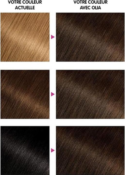 Produktbild Garnier Permanent color without ammonia 4.0 Pure Chestnut (4.0 Pure Kastanie)