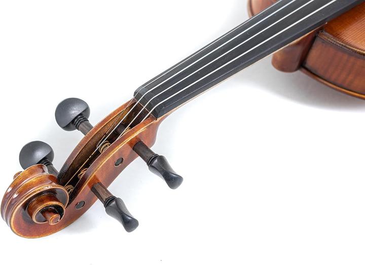 Produktbild Gewa Vioolset Maestro 2 mit Formetui, Carbonbogen und Aurora-Saiten (Geige)