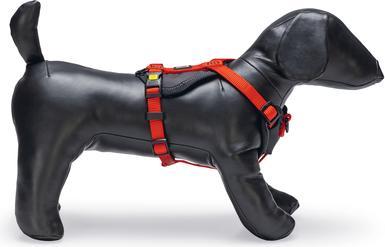Actual product image Beeztees Premium Y Geschirr Parinca (Dog, General)