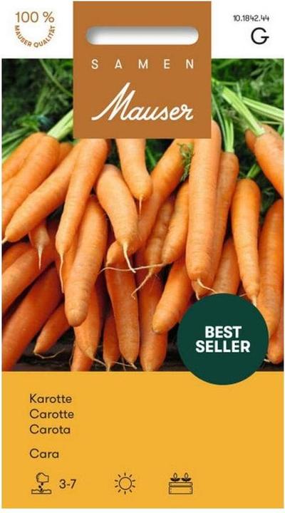 Produktbild Samen Mauser Karotte Cara Profiline (Gemüsesamen)