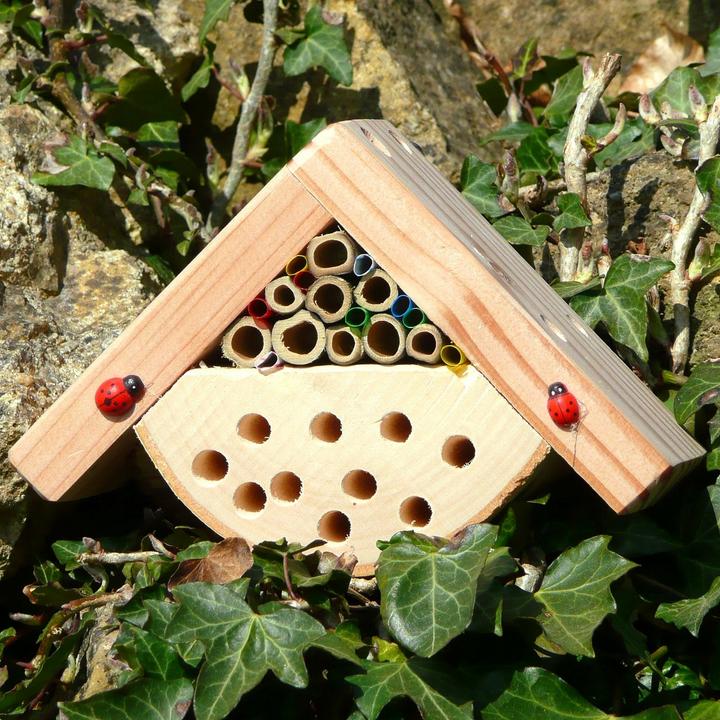 Immagine prodotto Wildlife World Minibug (Api, Coccinelle)