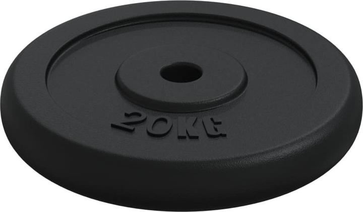 Immagine prodotto vidaXL Hantelscheibe (2 x 20 kg)