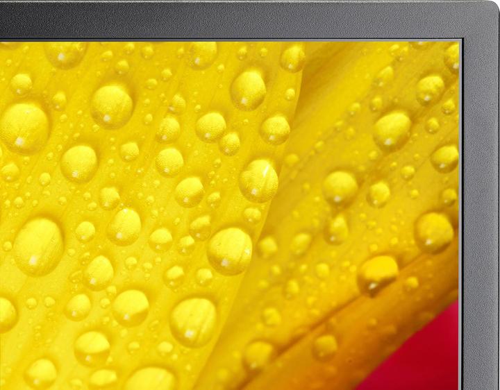 Image du produit NEC MultiSync ME431 (60005048) (3840 x 2160 pixels, 43")