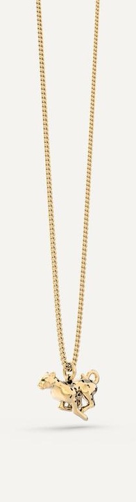 Produktbild MTM Leopard Necklace