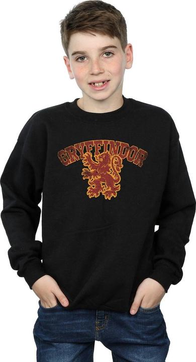 Immagine prodotto Gryffindor Sport Emblem Felpa Ragazzi (116)