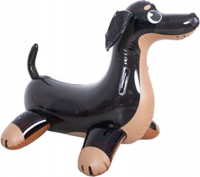 Jilong Dachshund