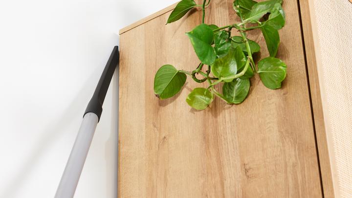 Actual product image Bosch Hausgeräte BGB75X650 Serie 8, Staubsauger mit Beutel, Classic, Schwarz