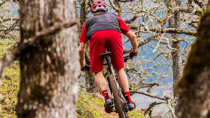 Produktbild Giro M Arc Short (36)