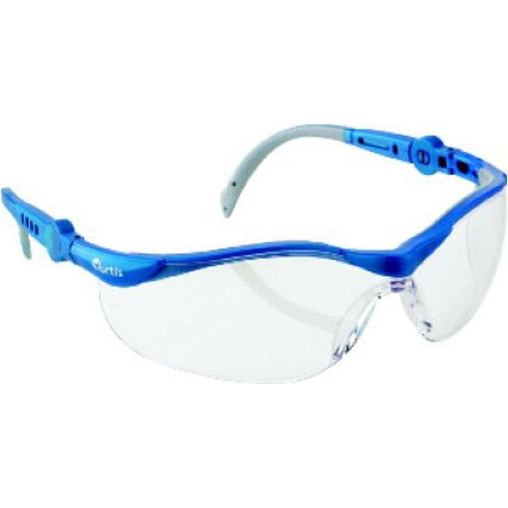 Fortis, Schutzbrille + Gesichtsschutz, Brille