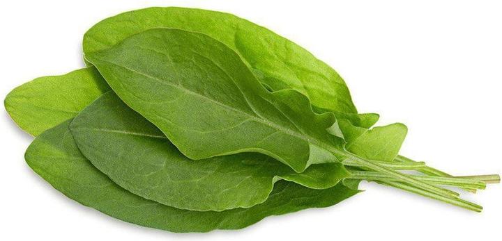 Produktbild Click and Grow Sauerampfer (Kräutersamen)