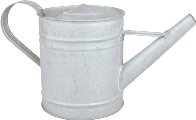 Actual product image Esschert Design Watering can (0.75 l)