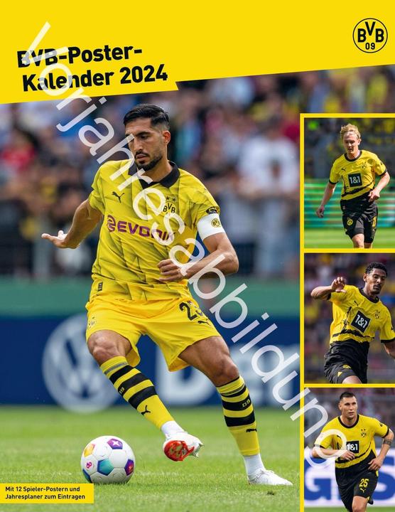 Produktbild Heye BVB Posterkalender 2025 (34 x 44 cm)
