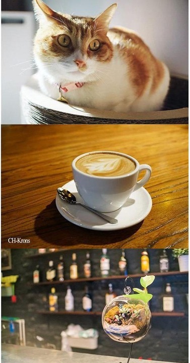 Actual product image 7artisans 25mm F1.8 Sony E (Sony E, APS-C / DX)