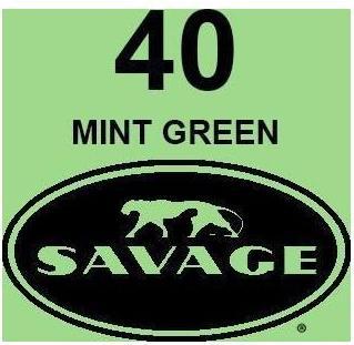 Actual product image Savage background paper mint green 2.72x11m (272 cm, 110 cm)