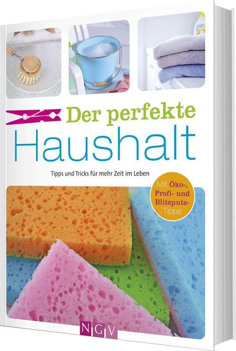 Der perfekte Haushalt (Deutsch, Ulrike Lowis, 2020)