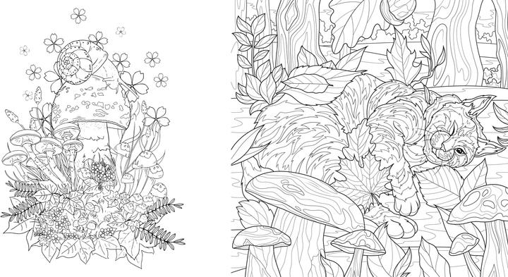 Produktbild Faszinierende Pilze