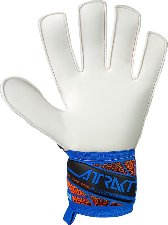 Produktbild Reusch Attrakt Solid (9)