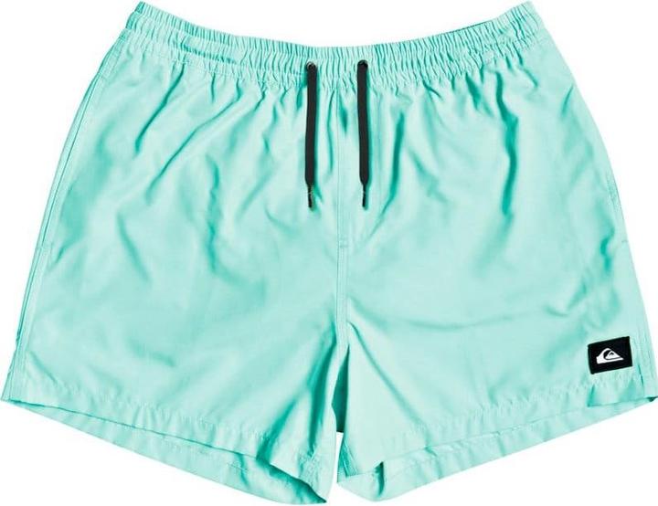 Image du produit Quiksilver Everyday Volleys (M)