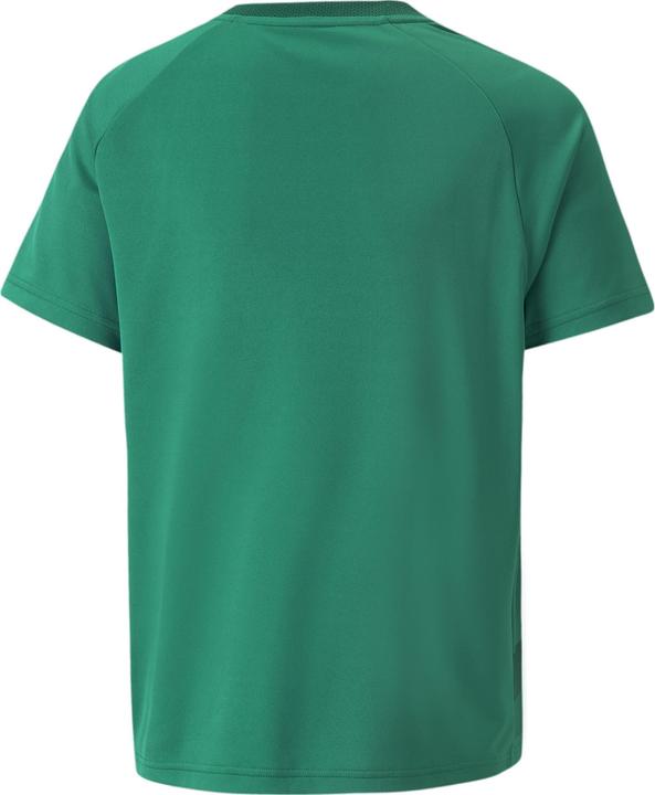 Image du produit Puma Maillot teamVISION Jr-704928 (128)