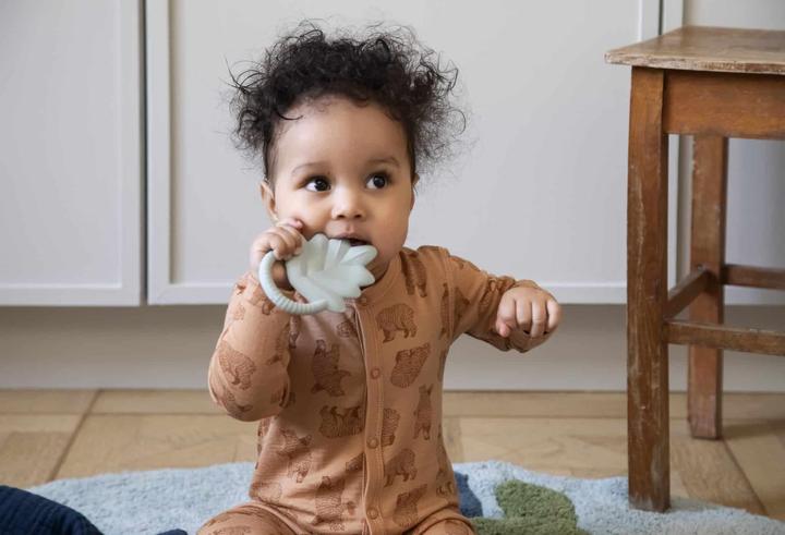 Actual product image Sebra Teething ring natural rubber latex,, leaf, misty mint