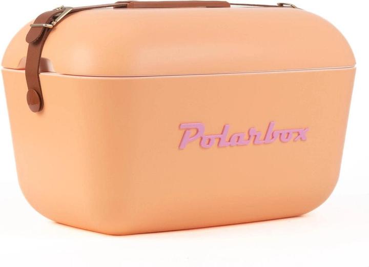 Polarbox Vintage Cooler Bag 01.20CL-OR 20L (20 l)