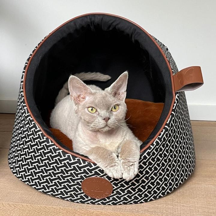 Actual product image Martin Sellier Basket for dogs and cats (Cat, Dog)
