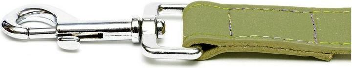 Produktbild Gloria Hundeleine Oasis 1.5 x 100 cm grün (Hund, Hundesport)