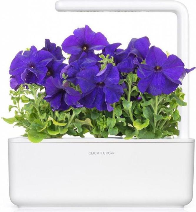 Produktbild Click and Grow Blaue Petunie (Pflanzensamen)