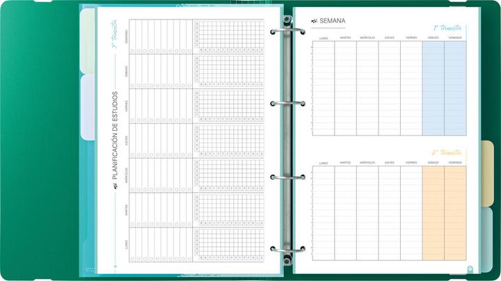 Produktbild Carchivo Ringbuch mit Inhalt Carpeblock 360 (A4, 40 mm)