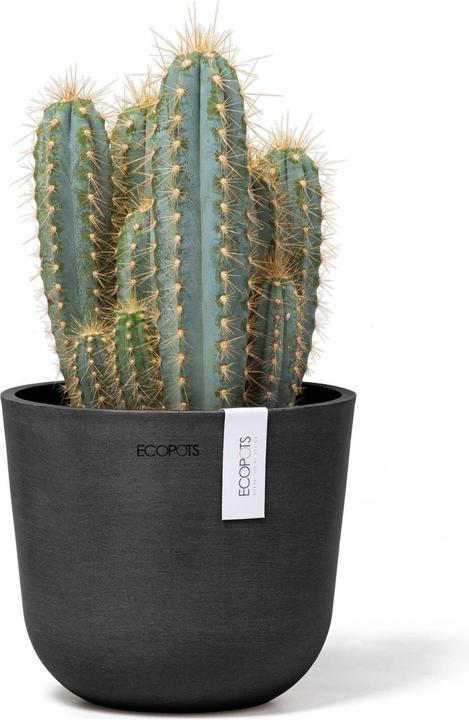 Immagine prodotto Ecopots Oslo Mini (16 cm)