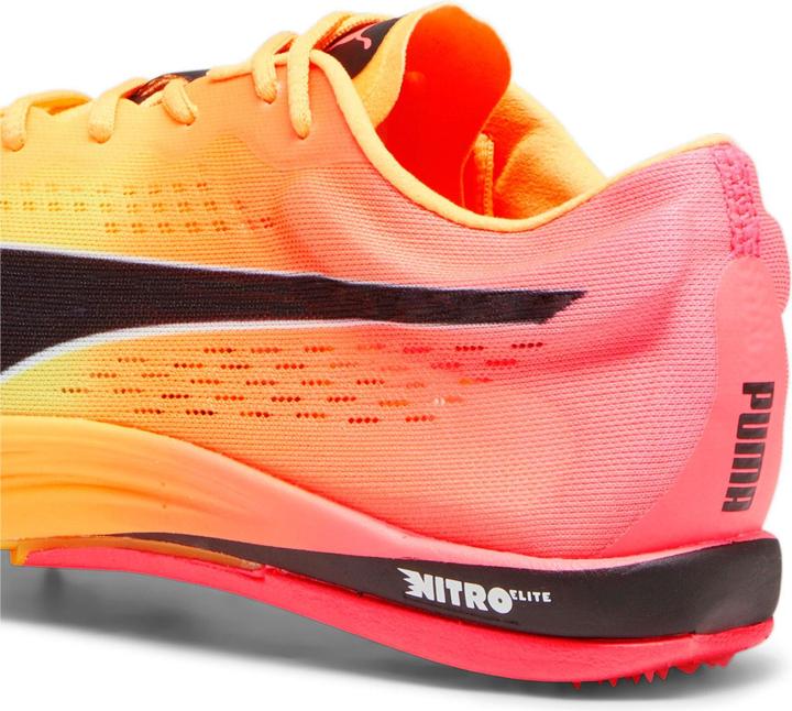 Produktbild Puma evoSPEED Long Distance Nitro Elite+ (44.5)